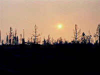 Click for larger view.