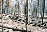 Click for larger view