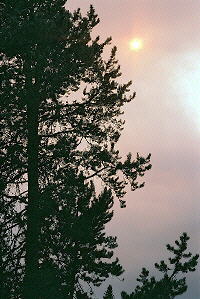 Click for larger view