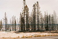 Click for larger view