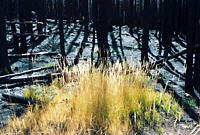 Click for larger view.