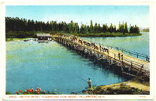 Click here for more about this postcard.